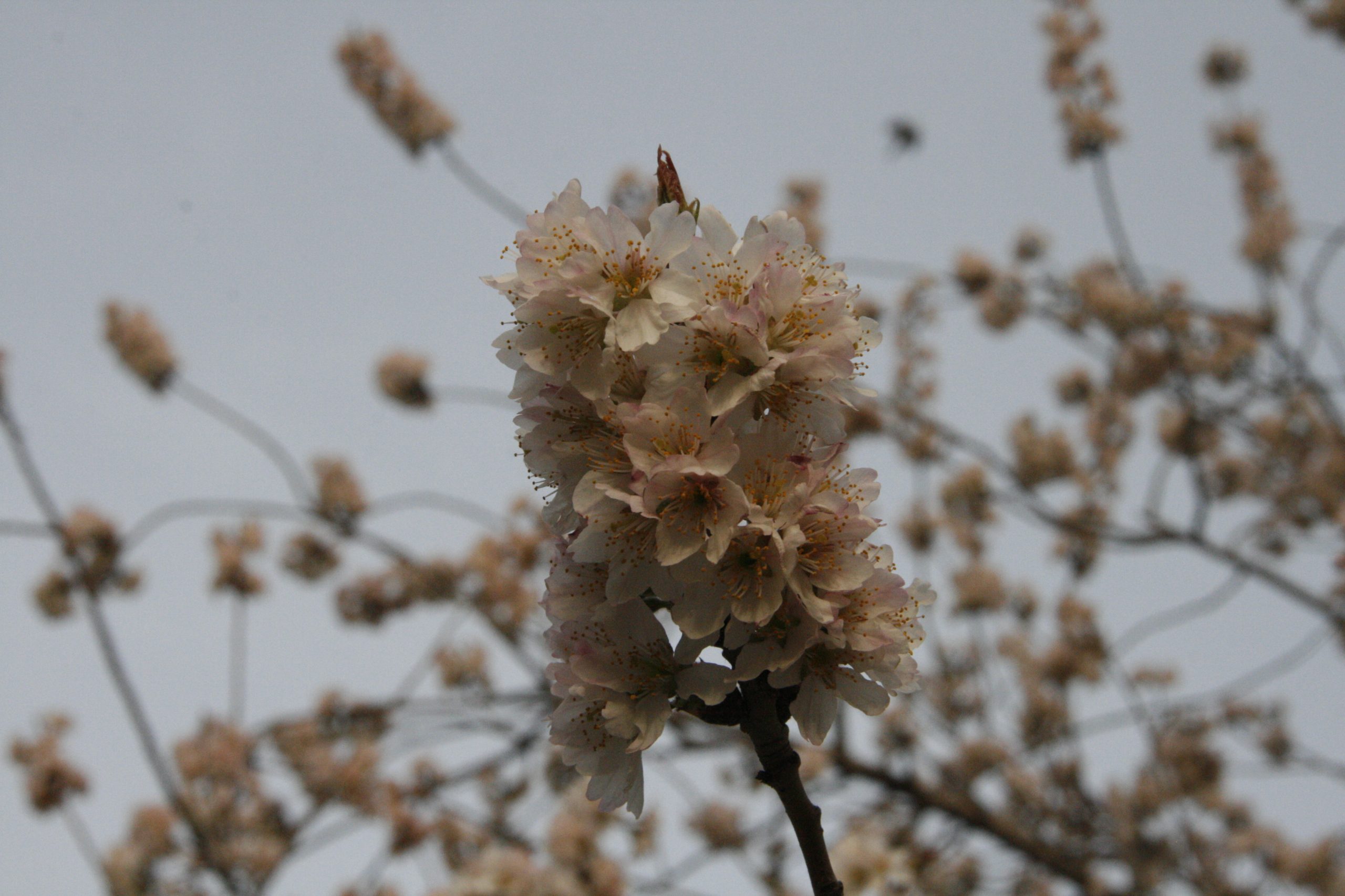 22.0mm | f/20250323164816