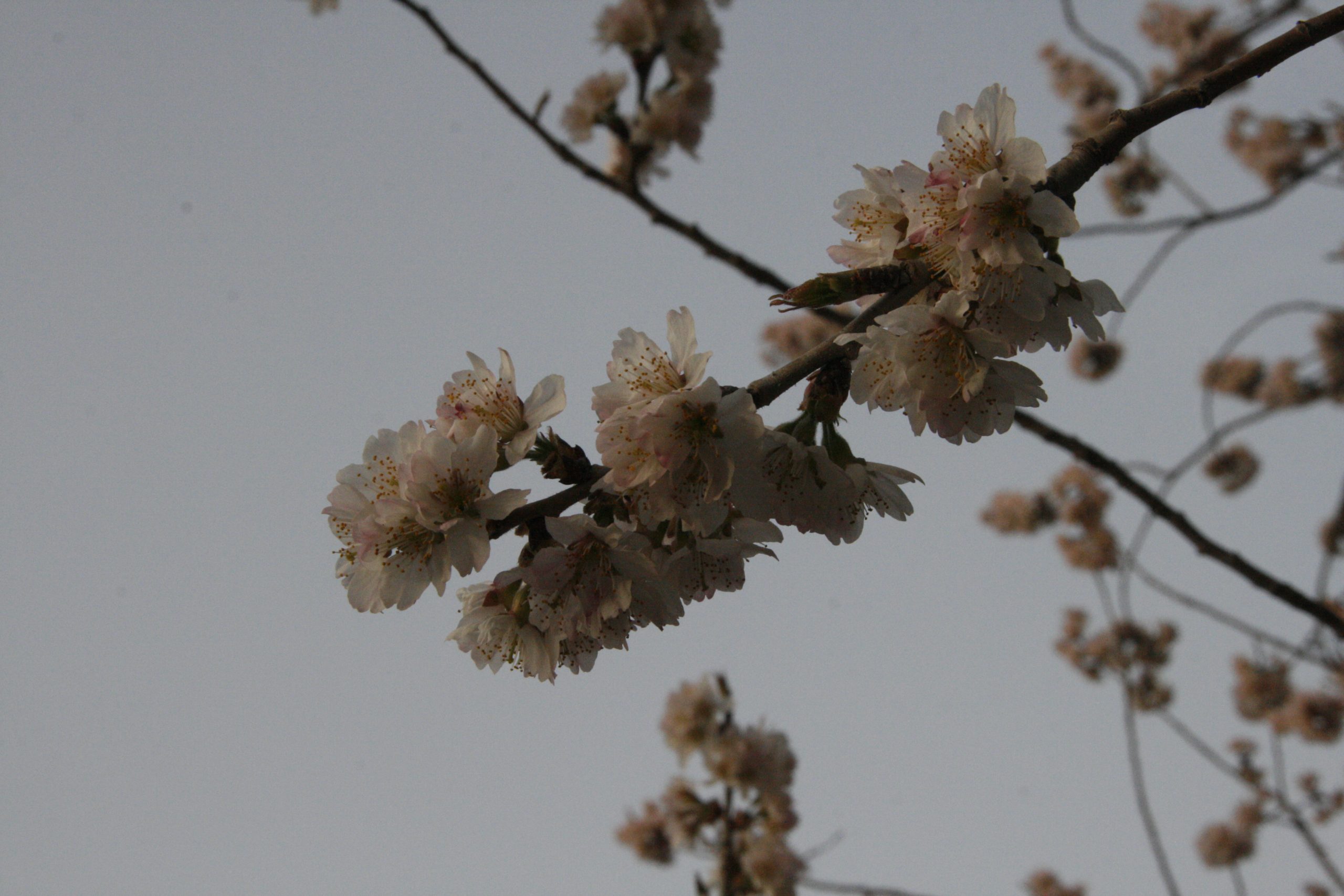 24.0mm | f/5.6