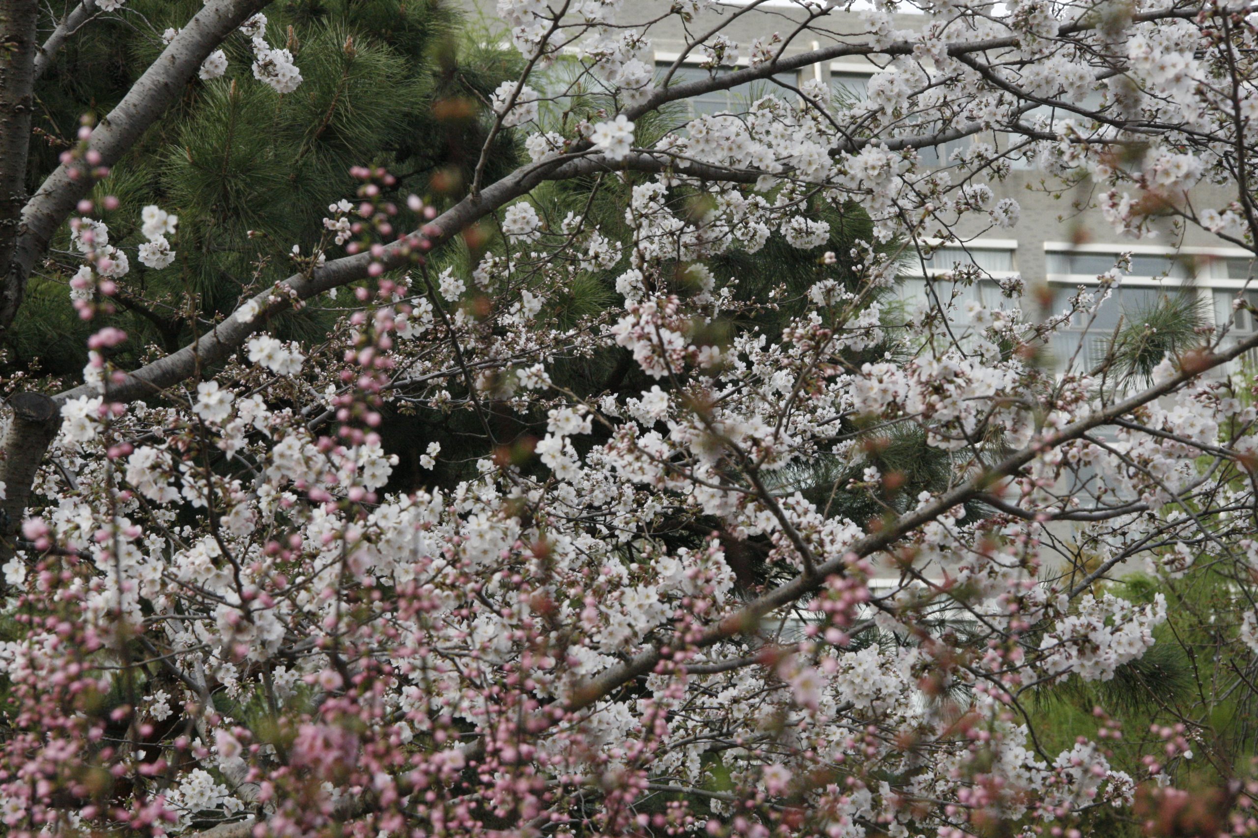 47.0mm | f/18.0